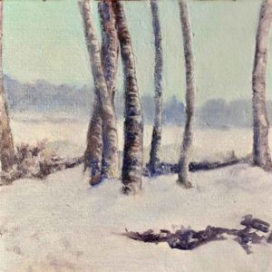 Snowy scene with a blue cast